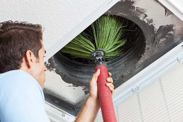 Best Home Air Vent Cleaning  in Genesee, ID